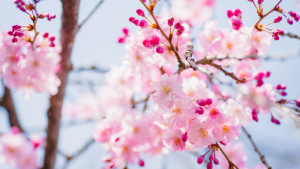 Spring Workplace Safety Checklist: Key Health and Safety Reviews for Businesses | Office Test