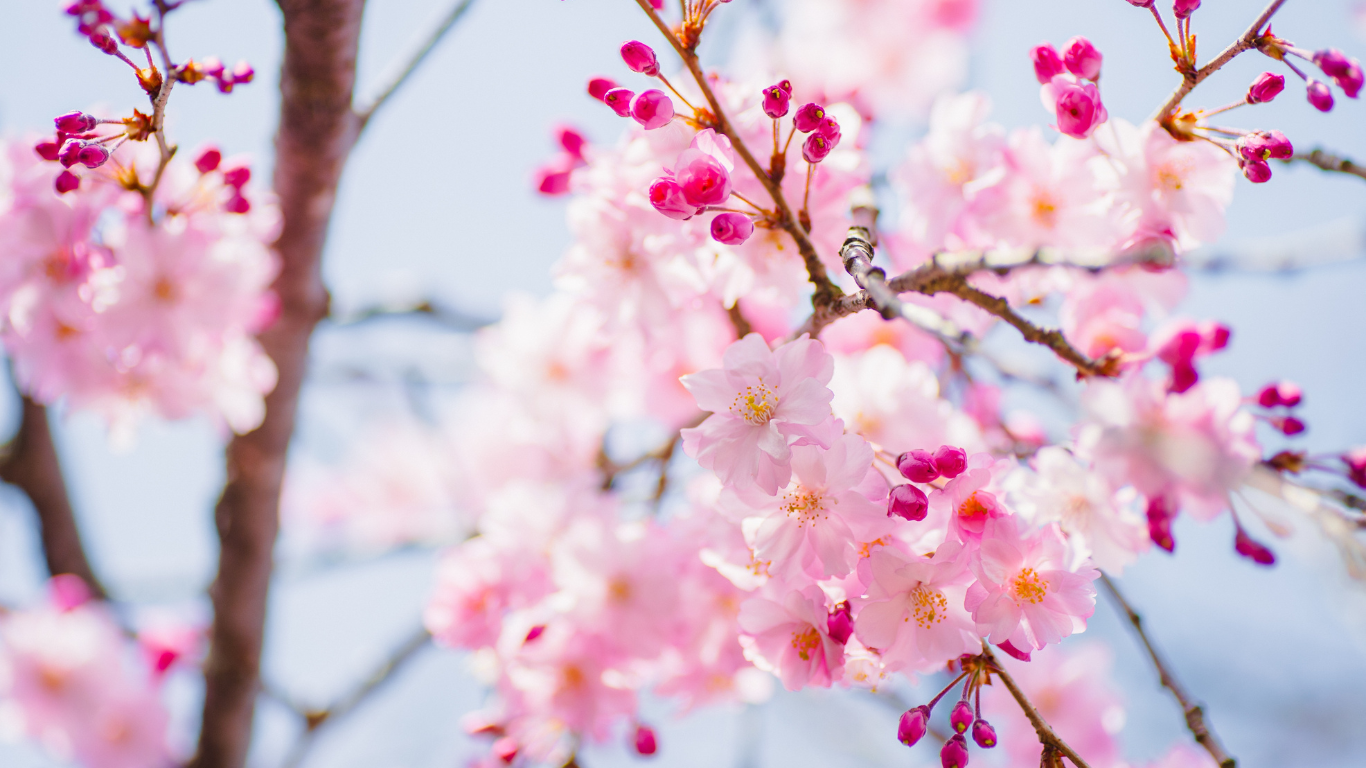 Spring Workplace Safety Checklist: Key Health and Safety Reviews for Businesses | Office Test